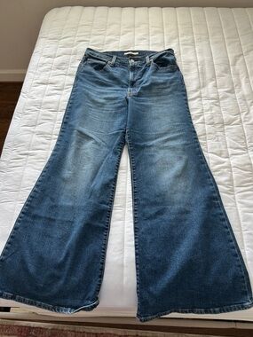 Levi's Blue Wide-Leg Flare Jeans